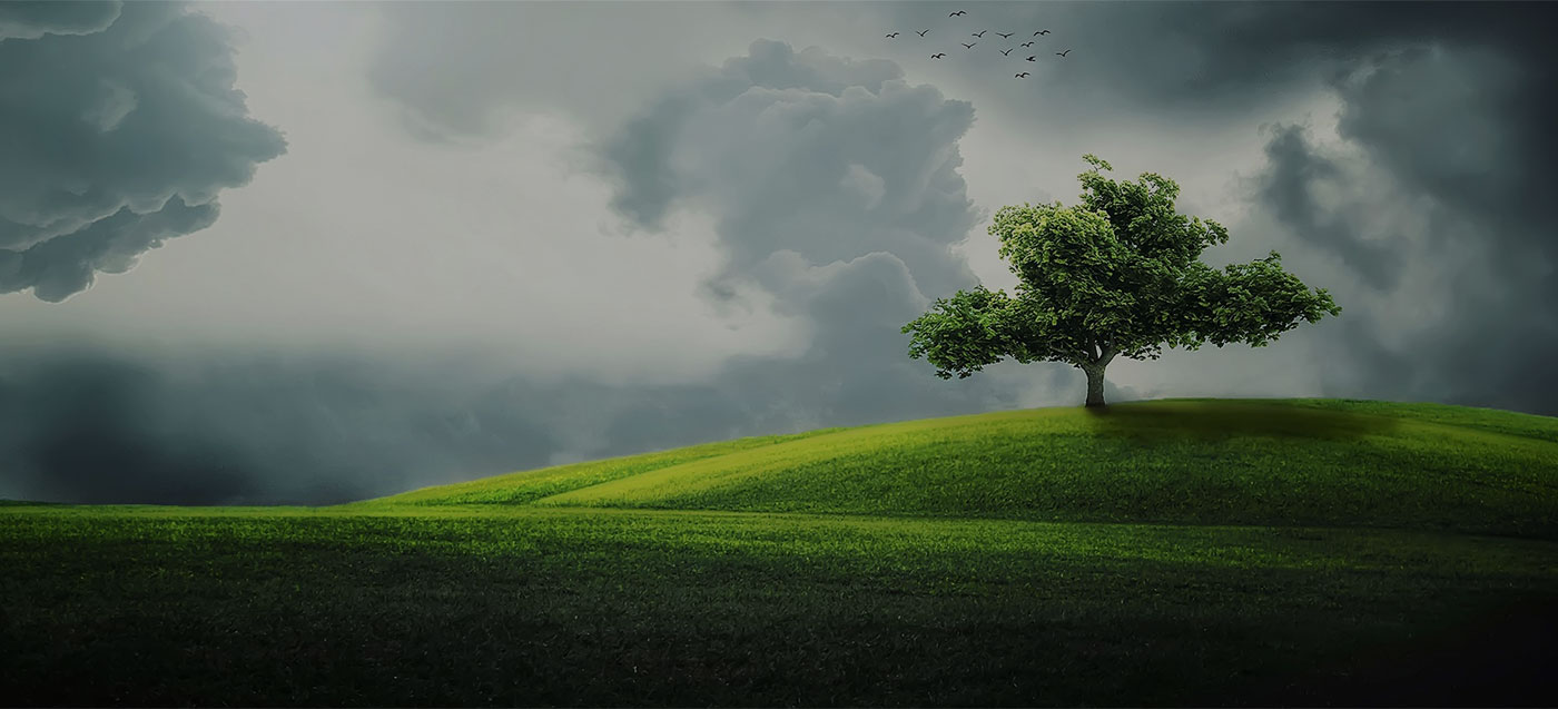 Alternative Solution